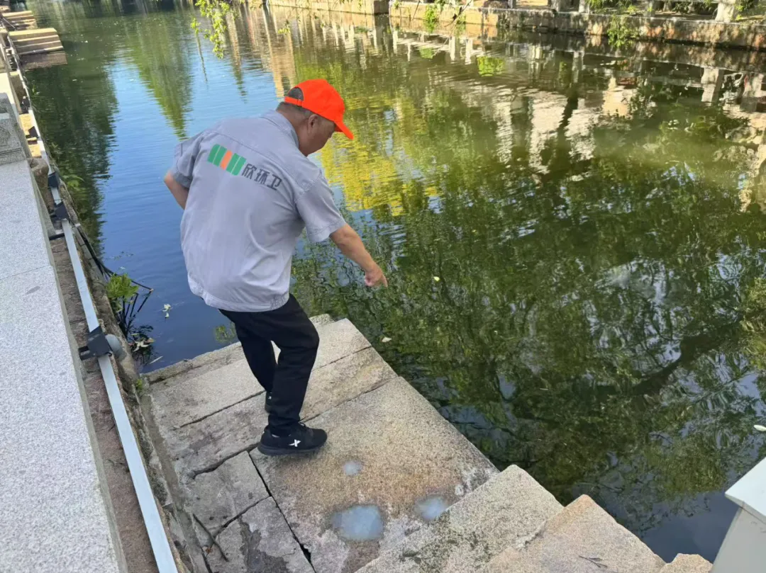 1751447432768007jQba.jpg 1751447422053.jpg