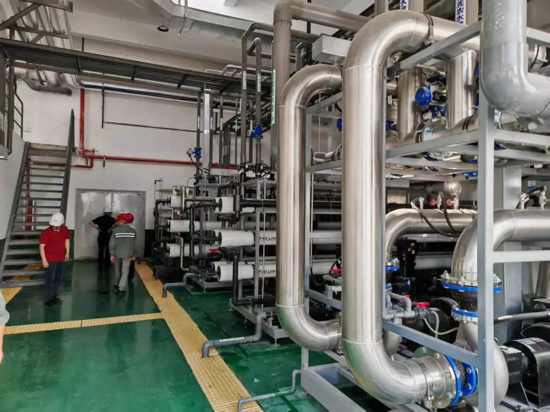 1753081390842660NomJ.jpg 1753081386288.jpg